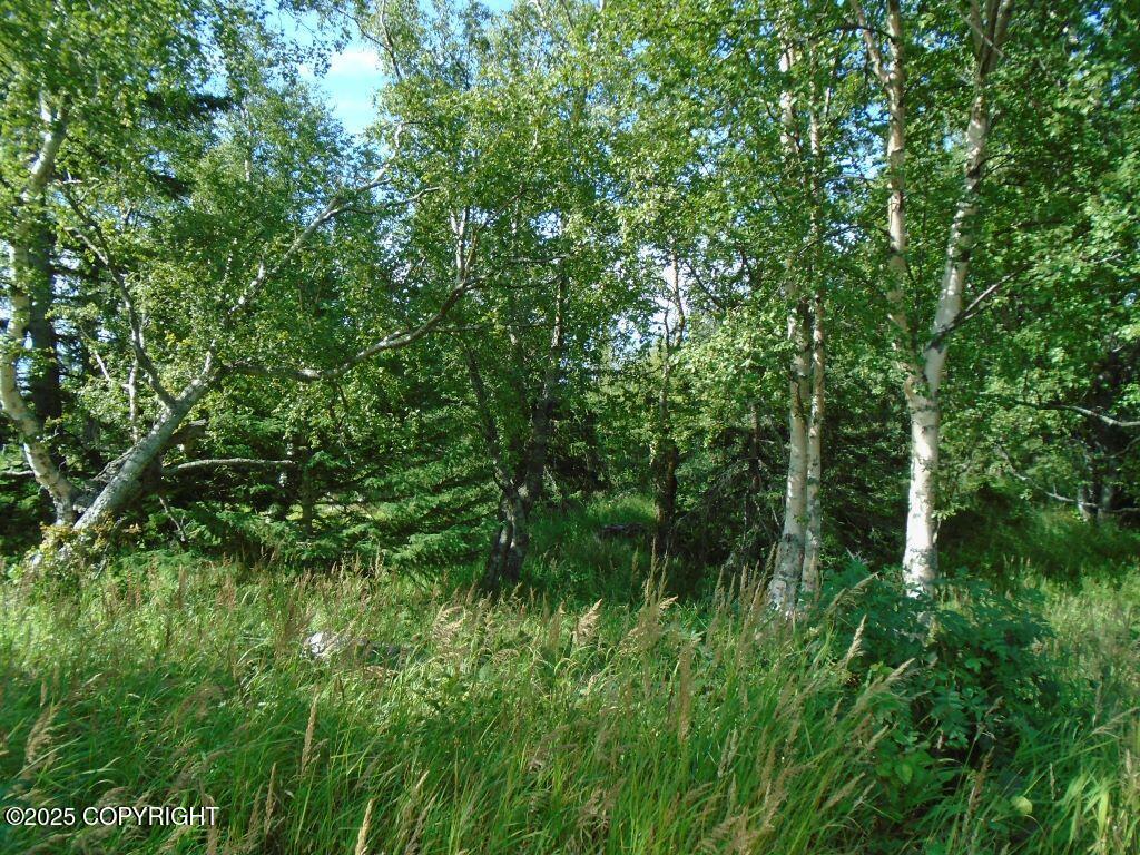 Lot 2 Greece Drive