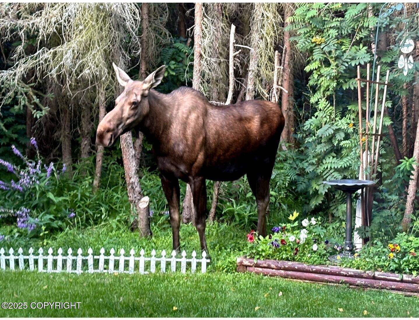 3451 Andre'e Drive # A Unit: #A