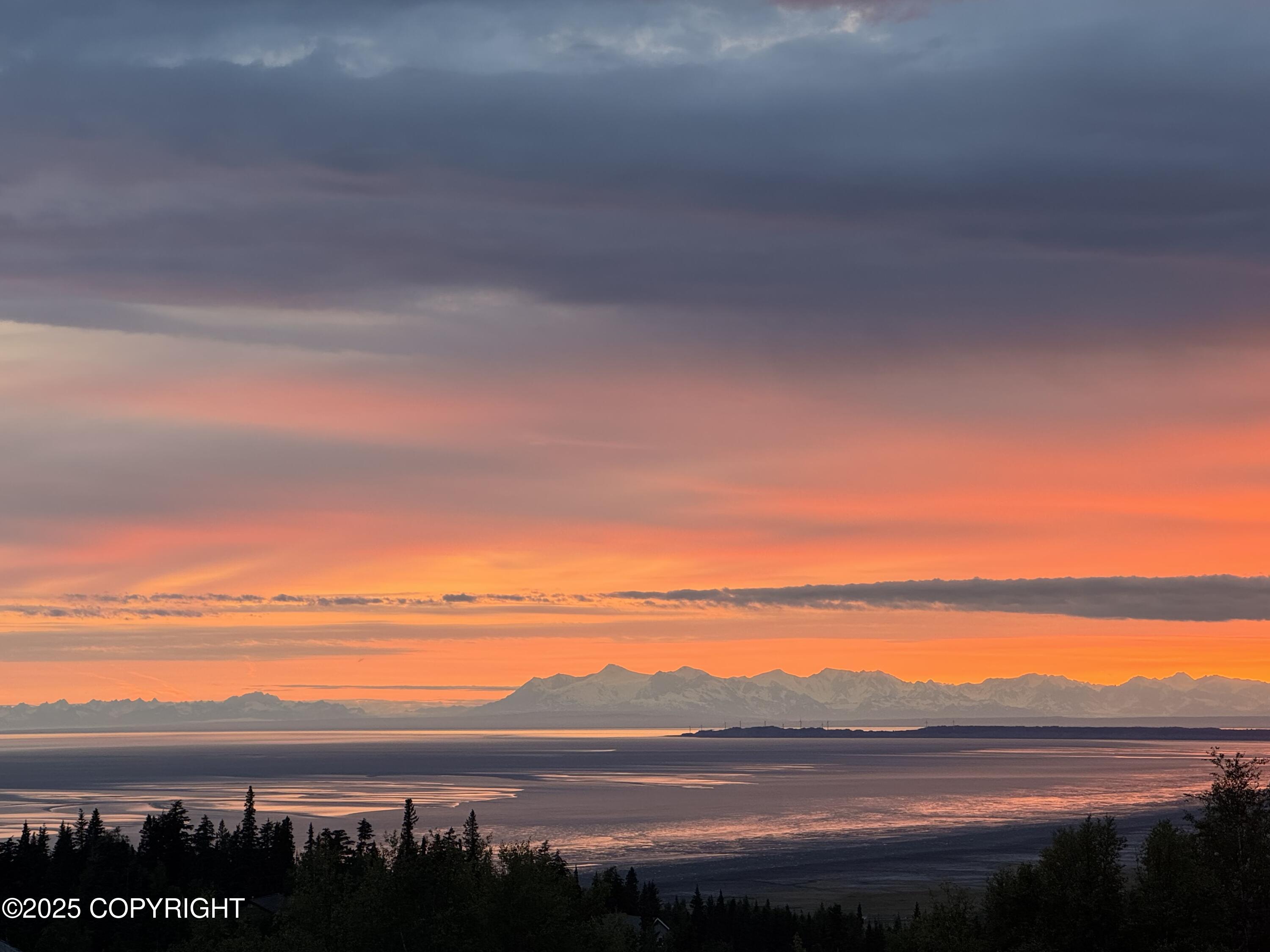 16847 Woods Pointe Circle