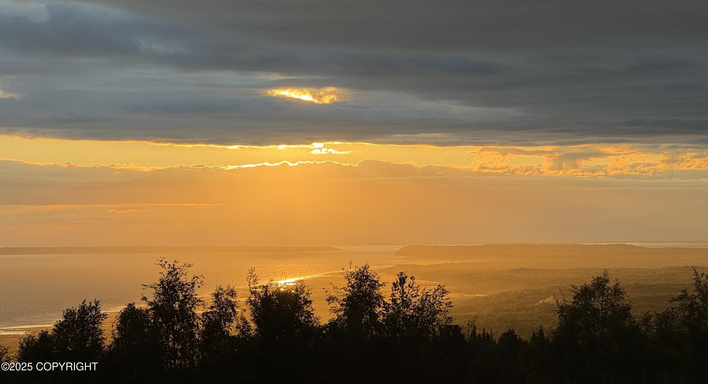 16847 Woods Pointe Circle