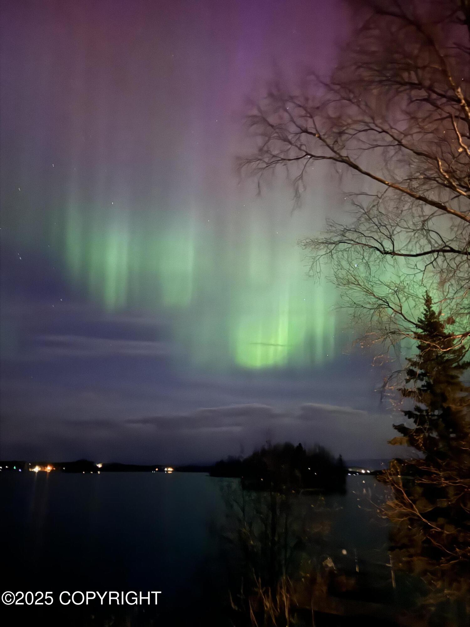 19052 W Arctic Tern Lane