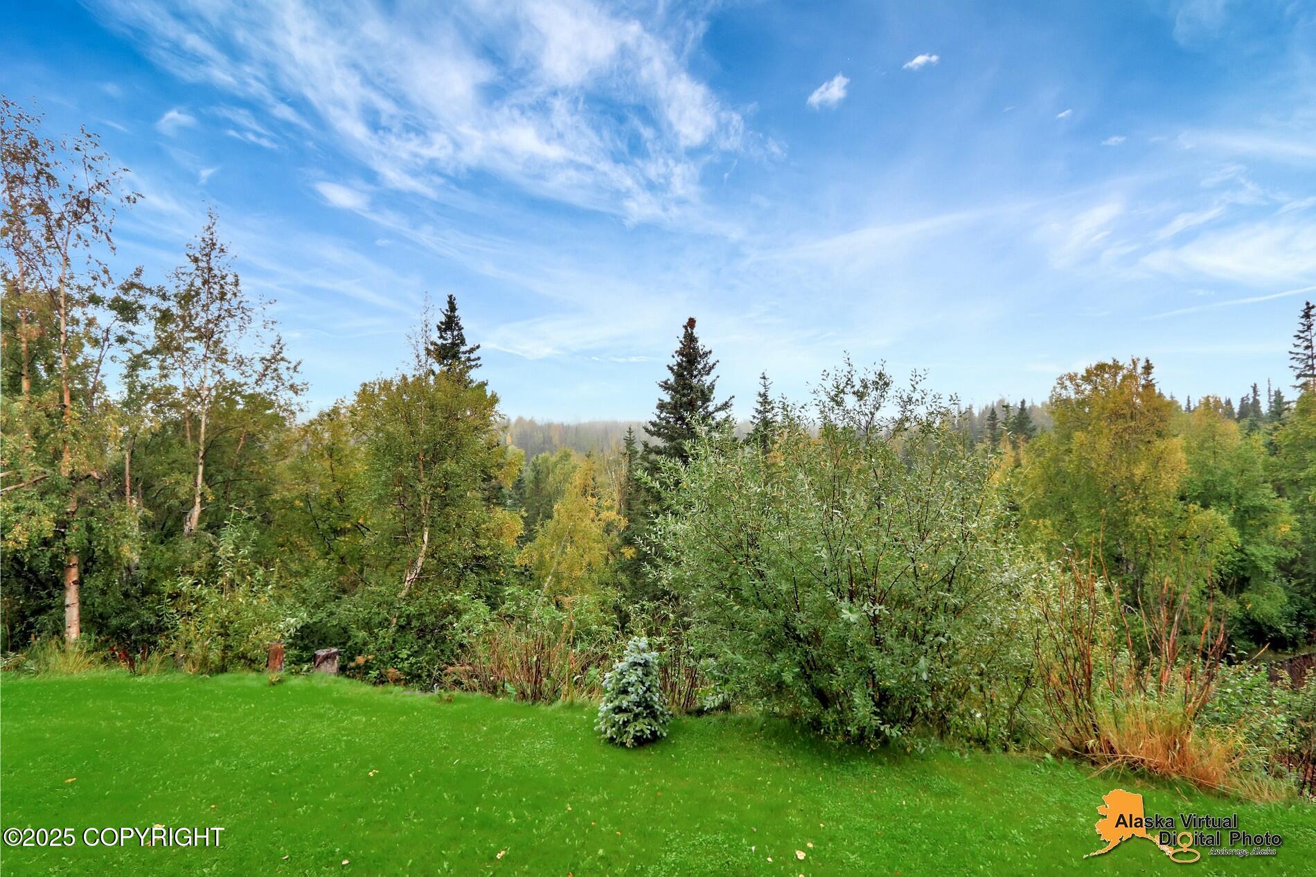 6411 Ridge Tree Circle