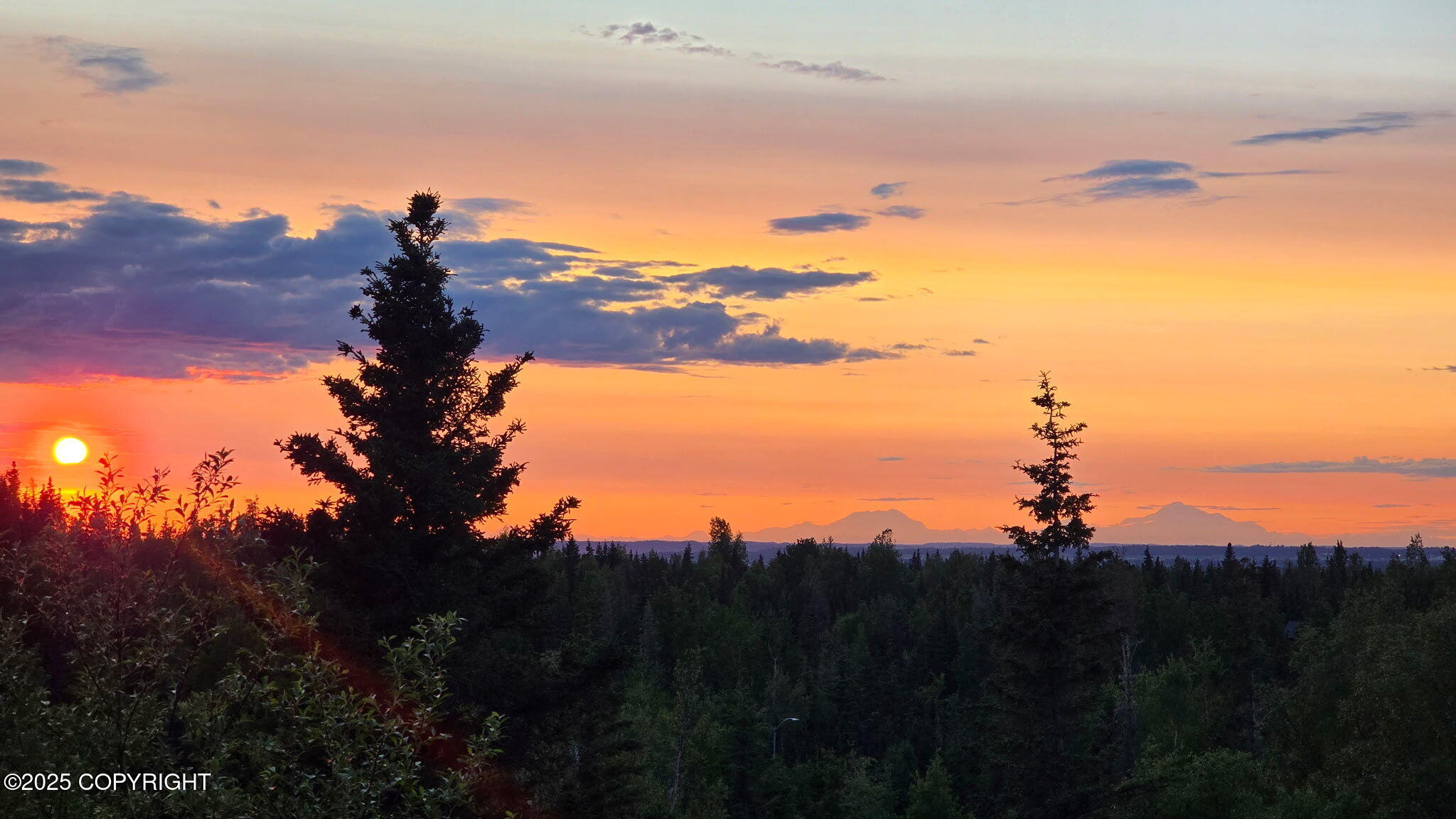 6411 Ridge Tree Circle