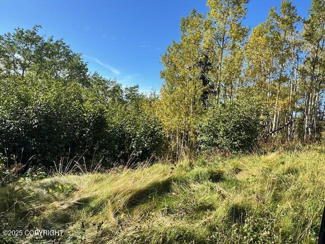 NHN Potter View Circle Circle