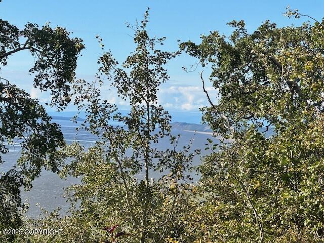 NHN Potter View Circle Circle