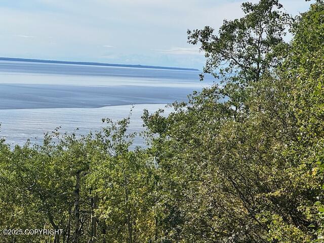 NHN Potter View Circle Circle