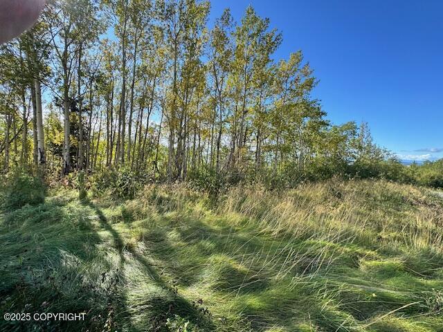 NHN Potter View Circle Circle