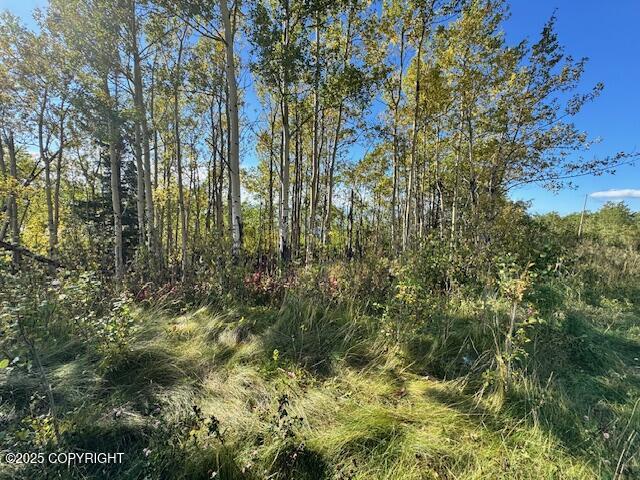 NHN Potter View Circle Circle