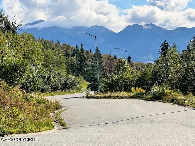 NHN Potter View Circle Circle