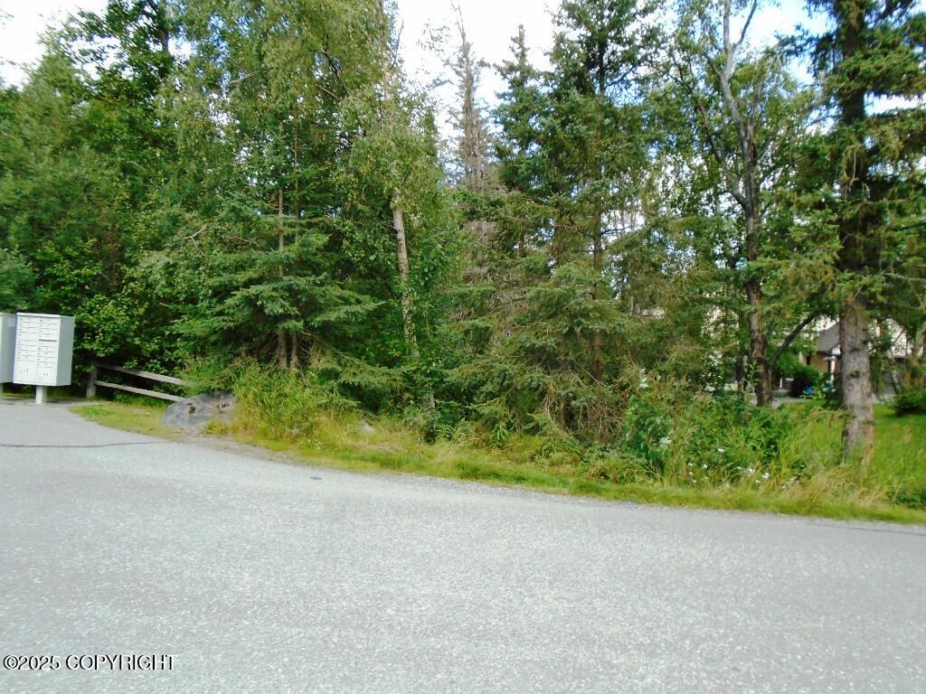 Lot 1 Downey Finch Drive