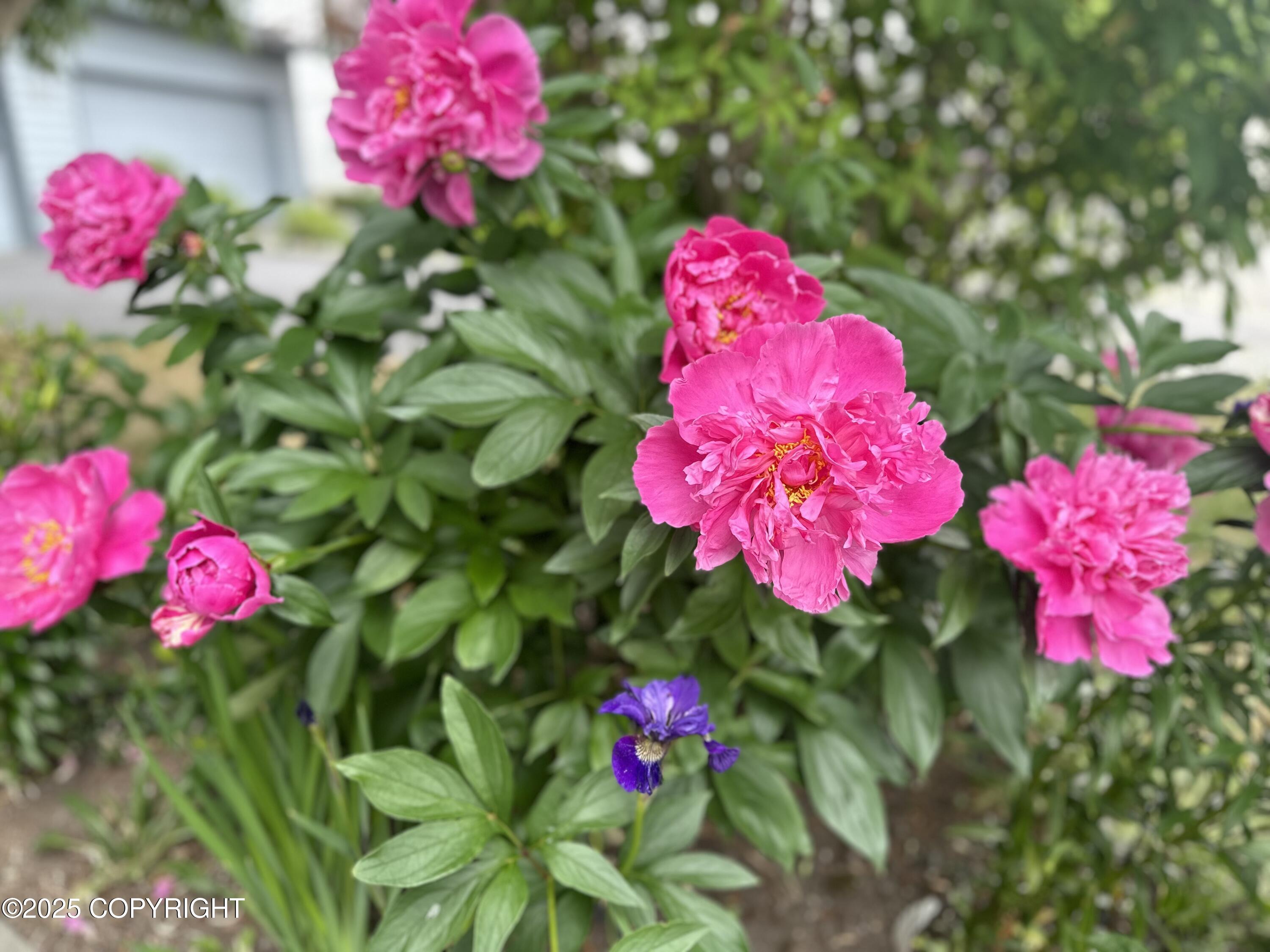 3851 Lincoln Ellsworth Court # 43B Unit: #43B