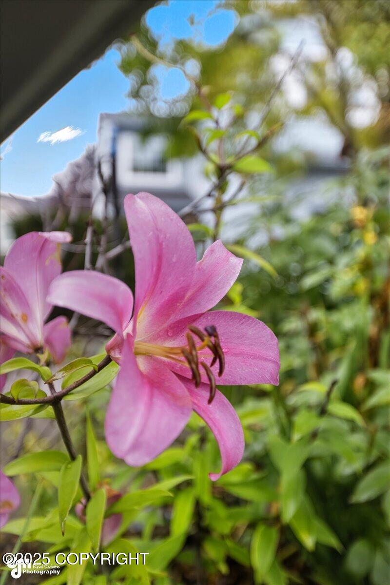 3851 Lincoln Ellsworth Court # 43B Unit: #43B