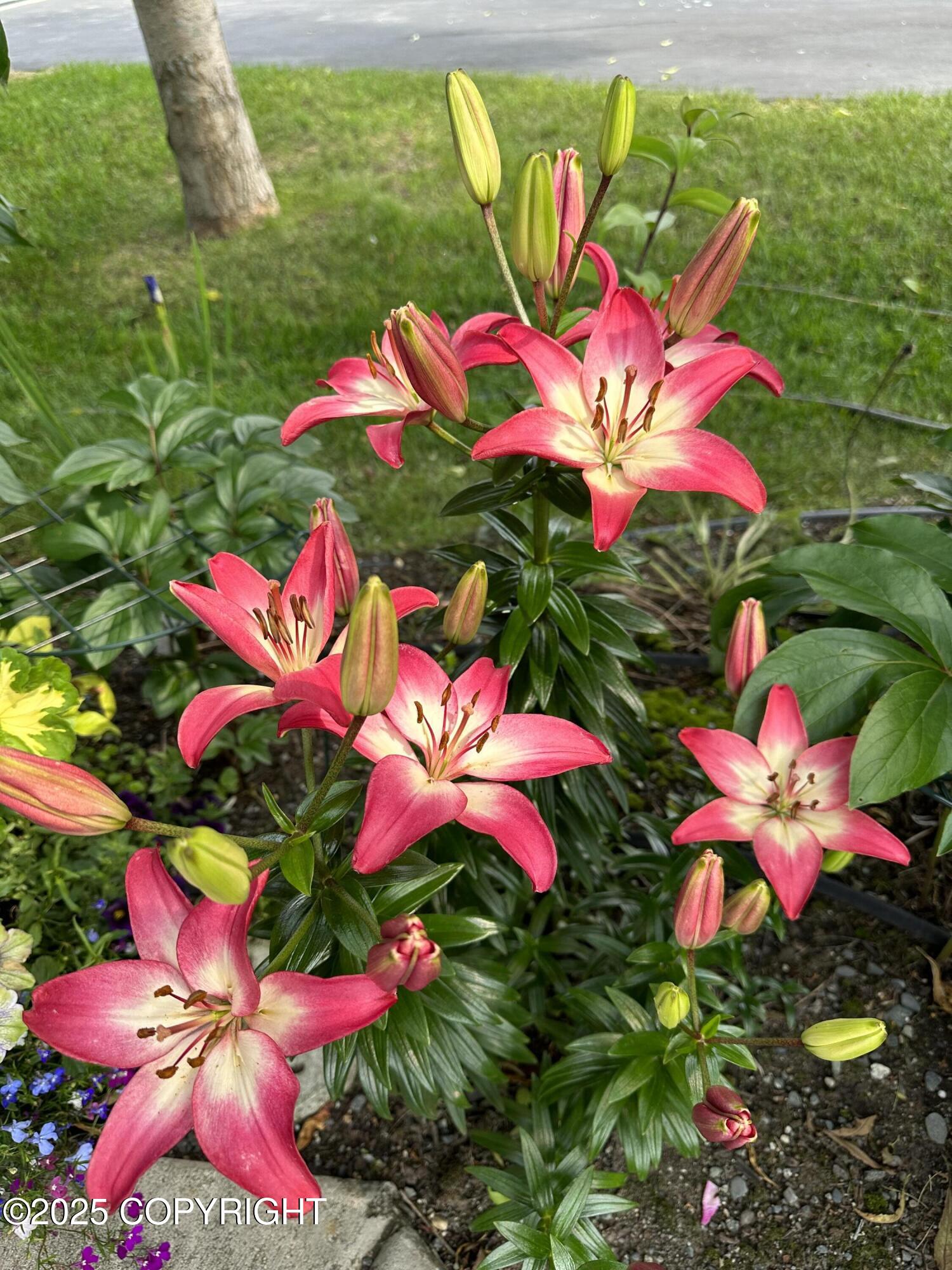 3851 Lincoln Ellsworth Court # 43B Unit: #43B