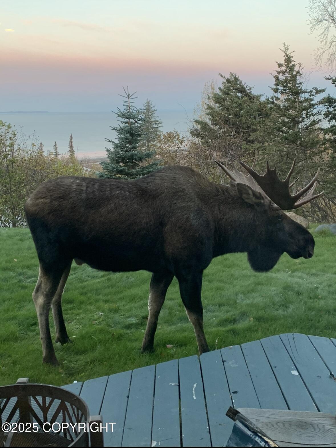 17101 Belarde Avenue