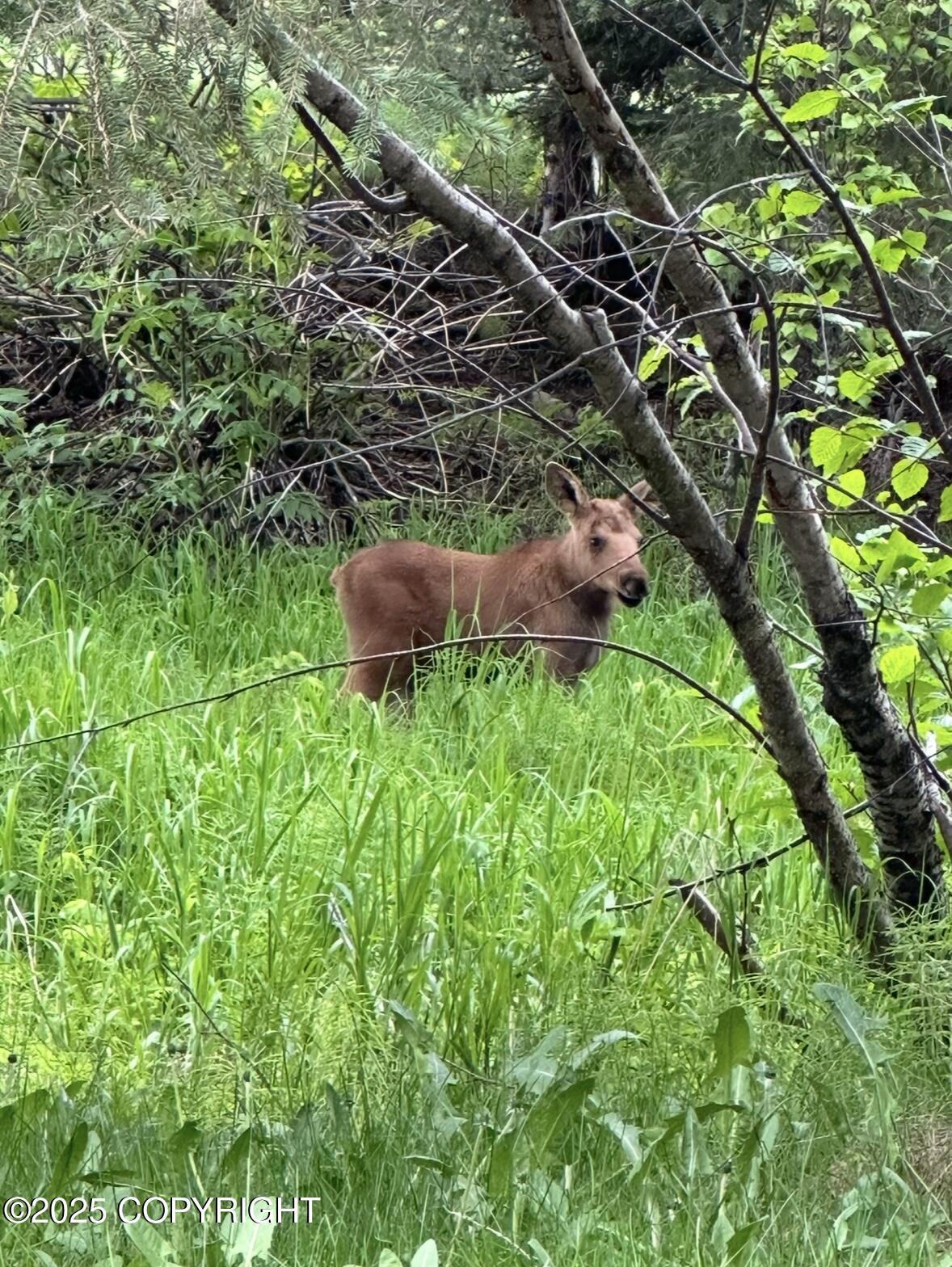 17101 Belarde Avenue