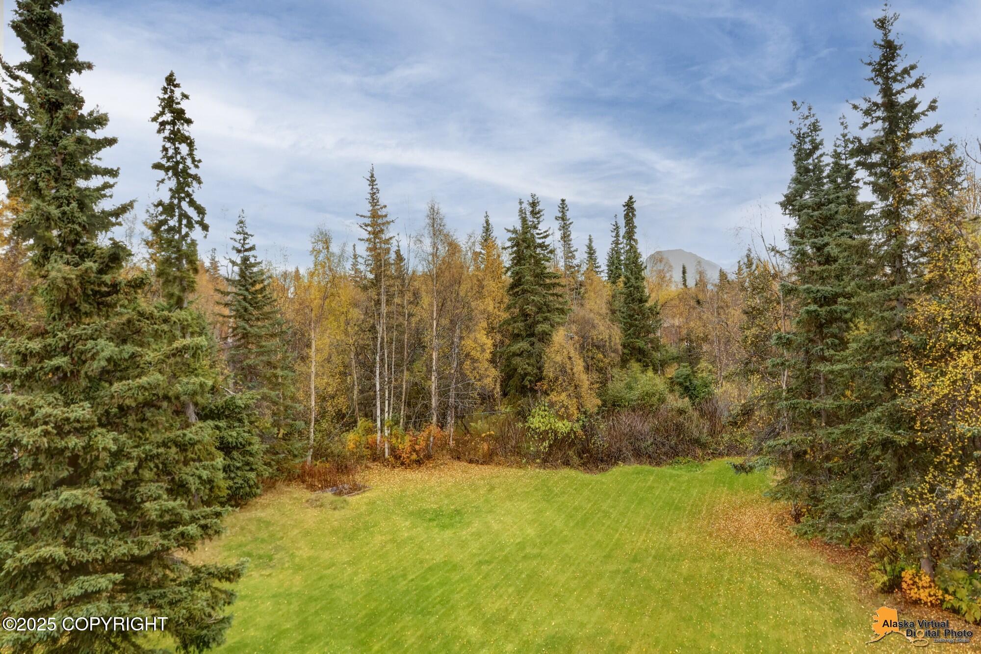 12531 Freitag Circle