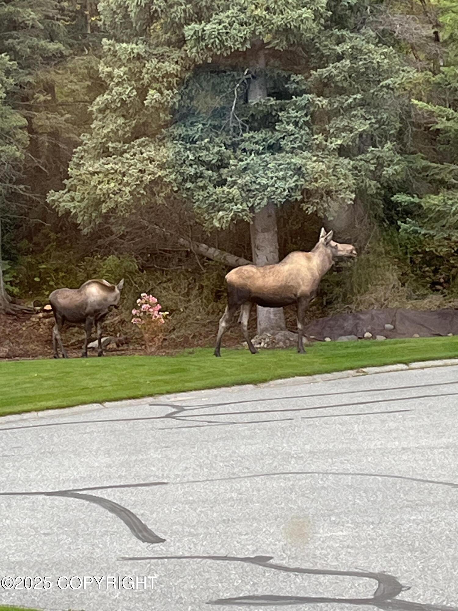 16027 Essex Point Circle