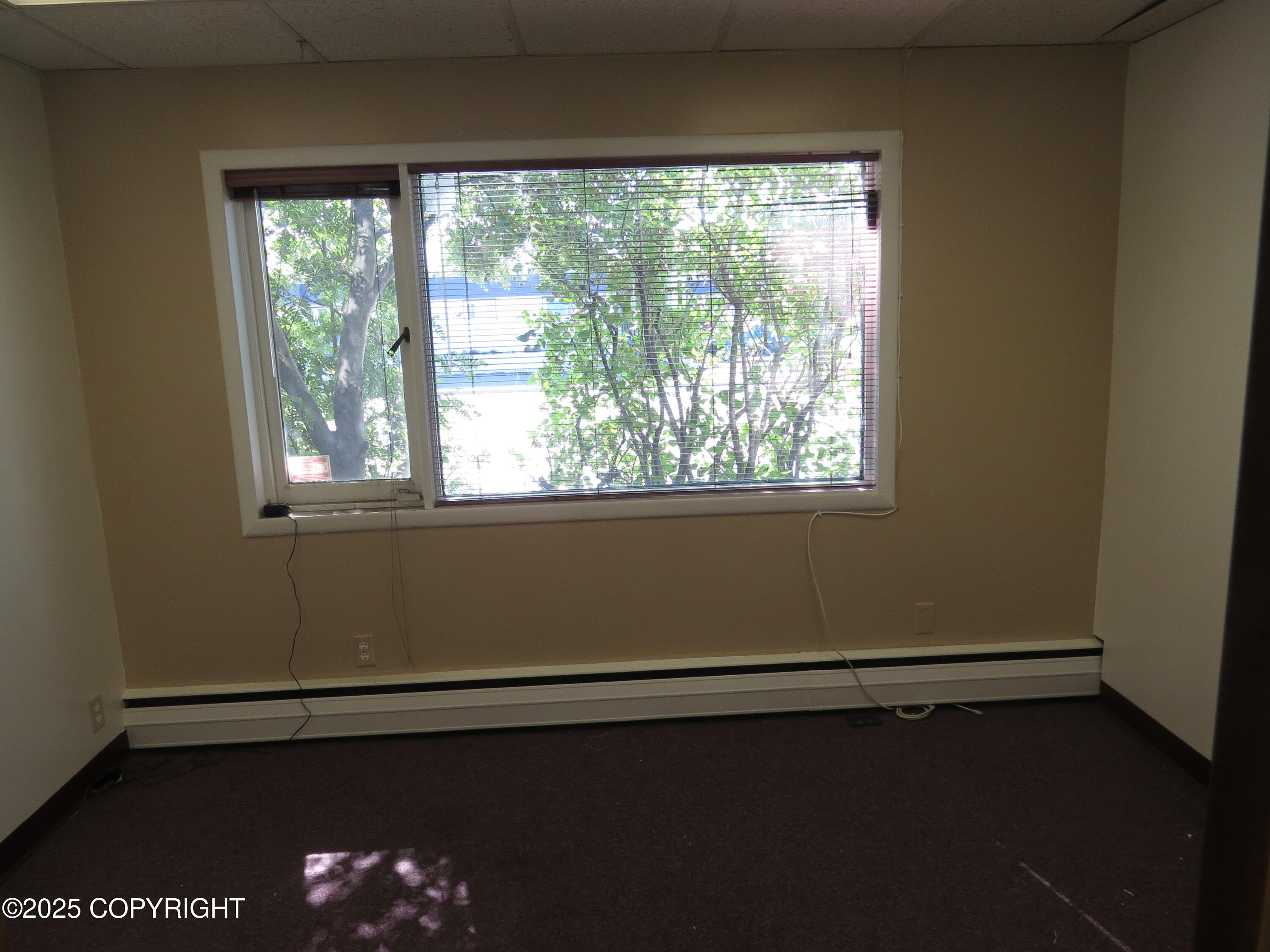 1035 W Fireweed Lane # 200