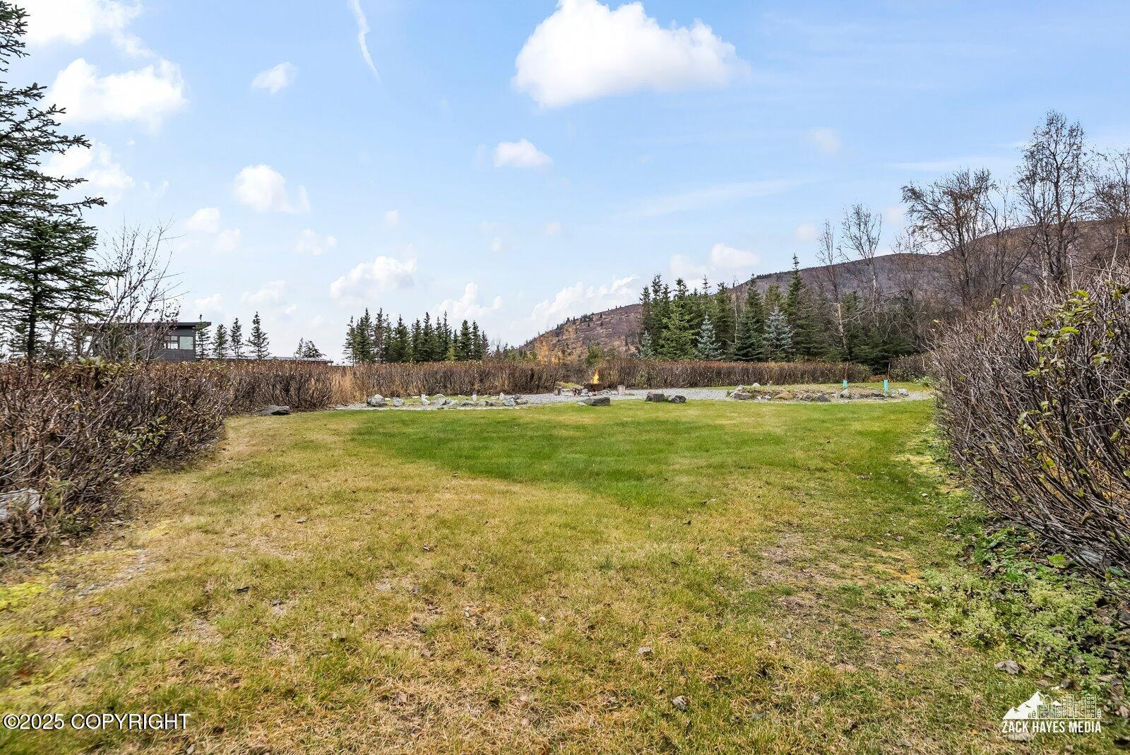 10607 Aletha's Mountain Way