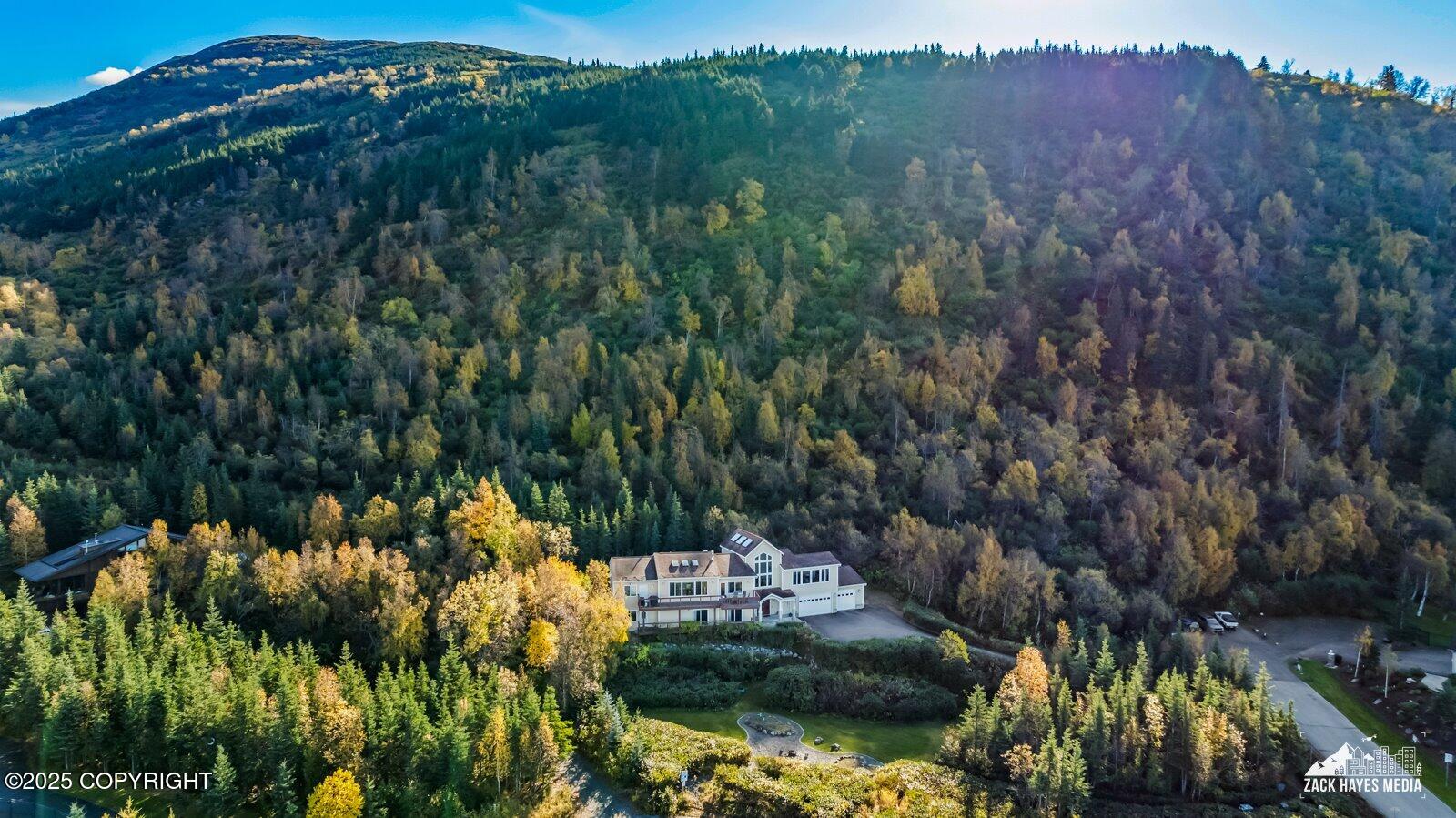 10607 Aletha's Mountain Way