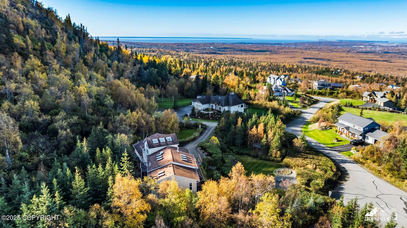 10607 Aletha's Mountain Way