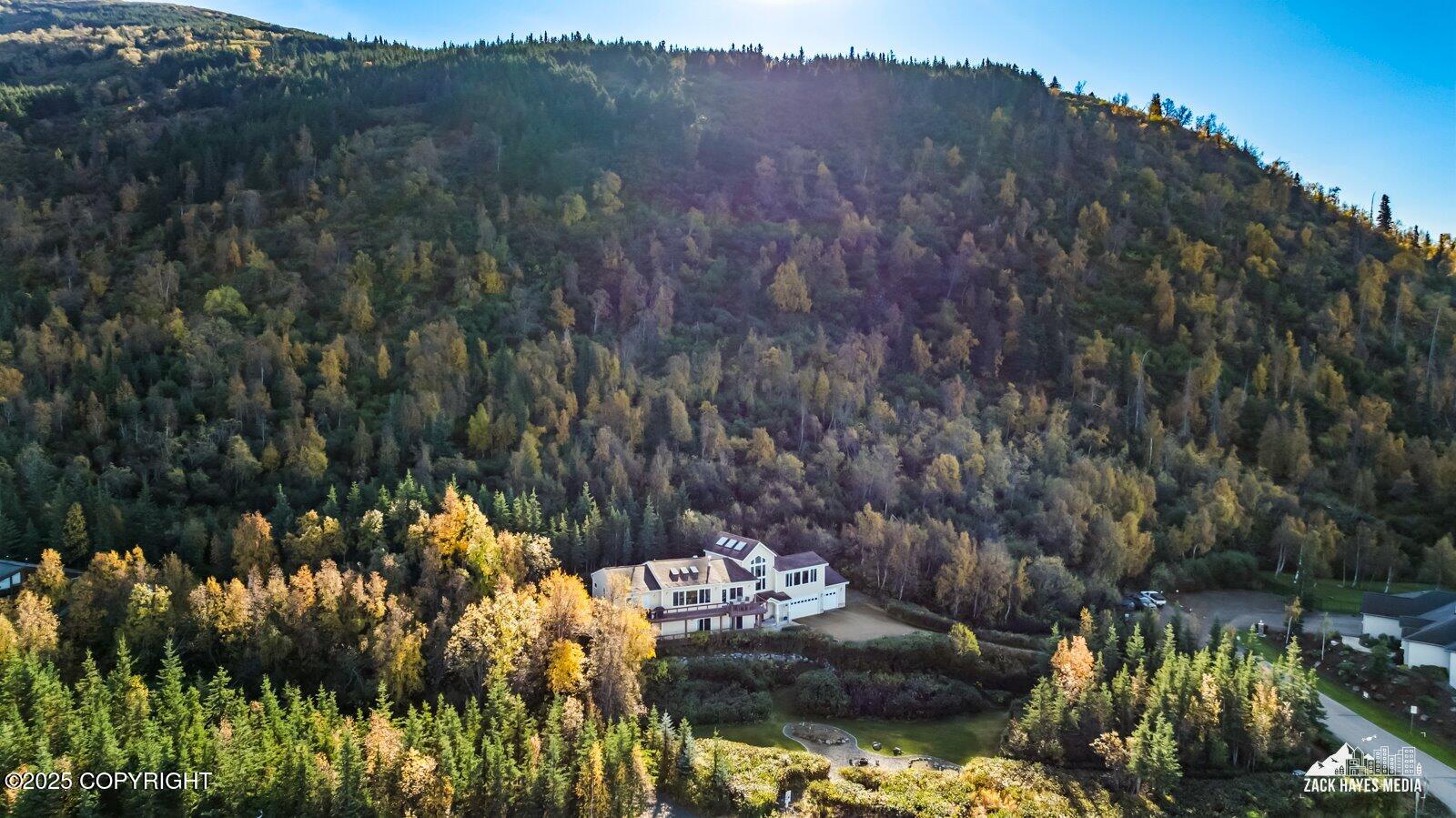 10607 Aletha's Mountain Way