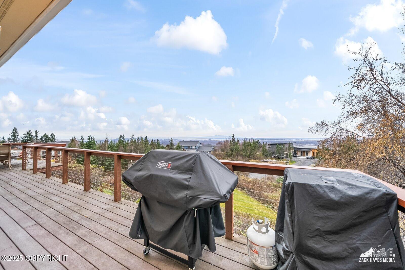 10607 Aletha's Mountain Way