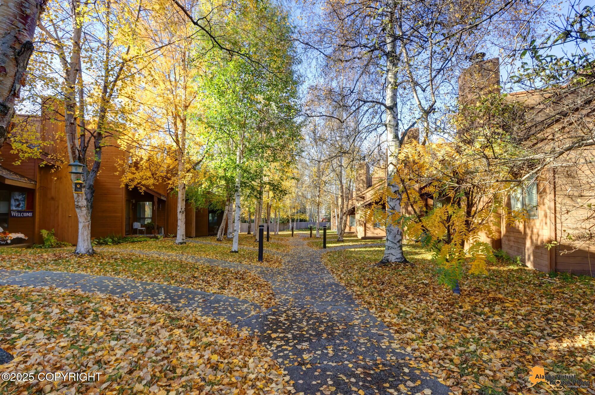 13210 Old Seward Highway # 15 Unit: #15