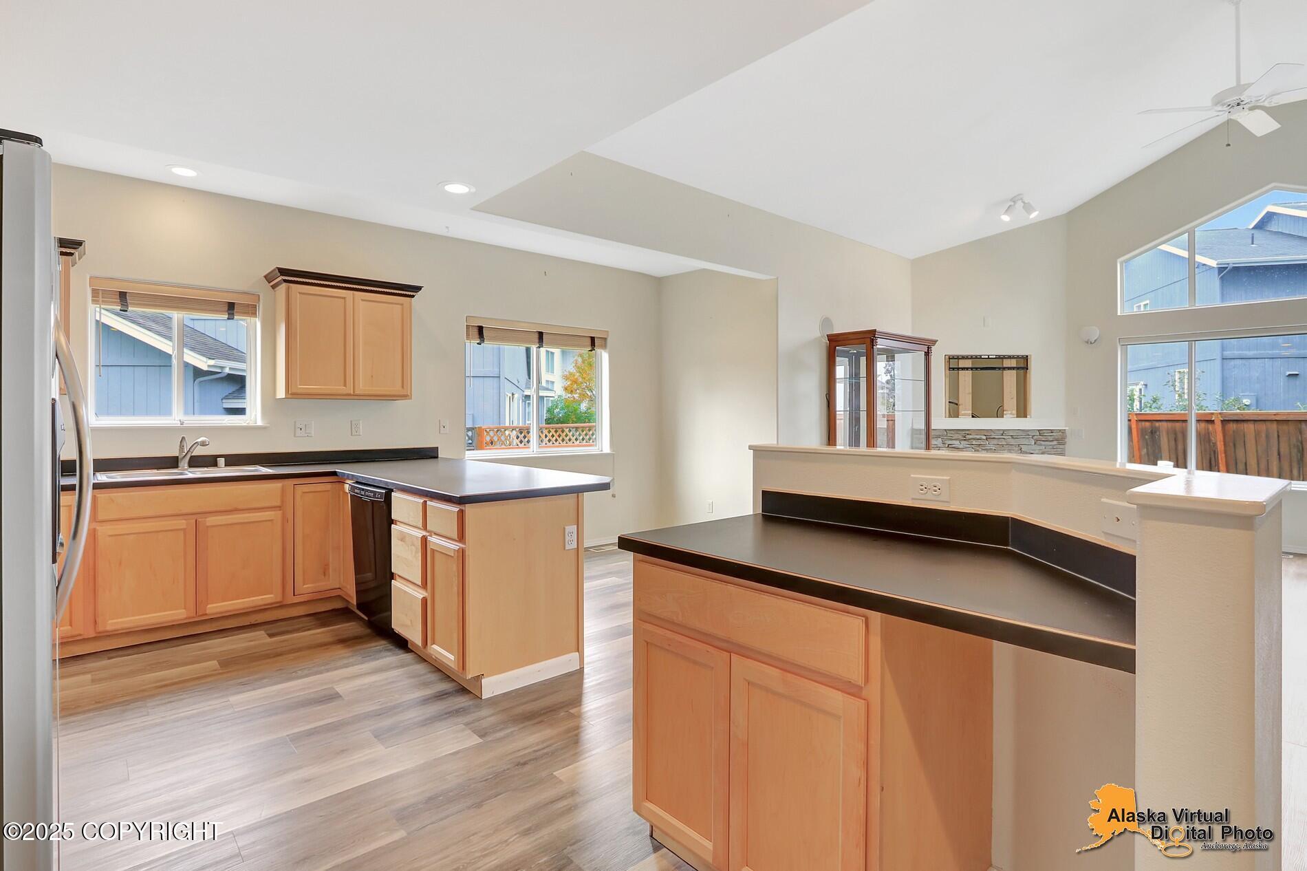 11038 Northfleet Drive