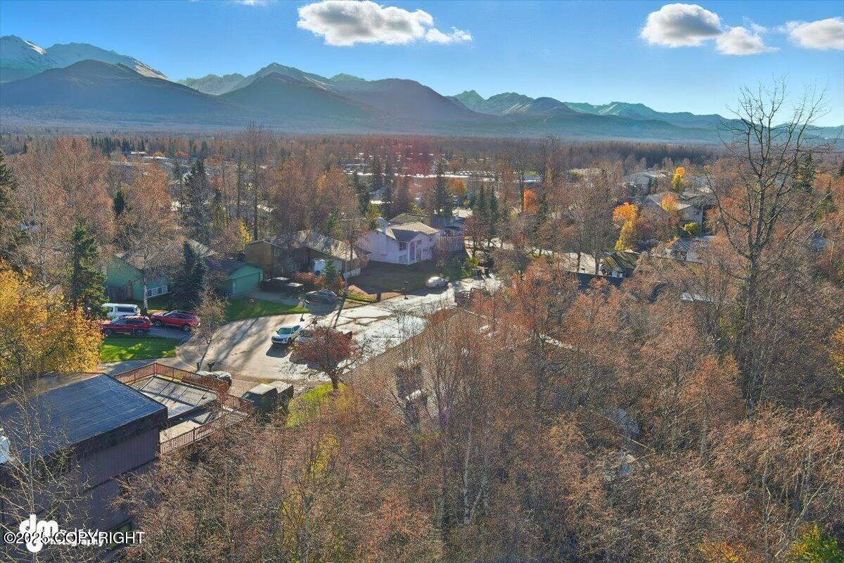 910 Bench Court, Anchorage