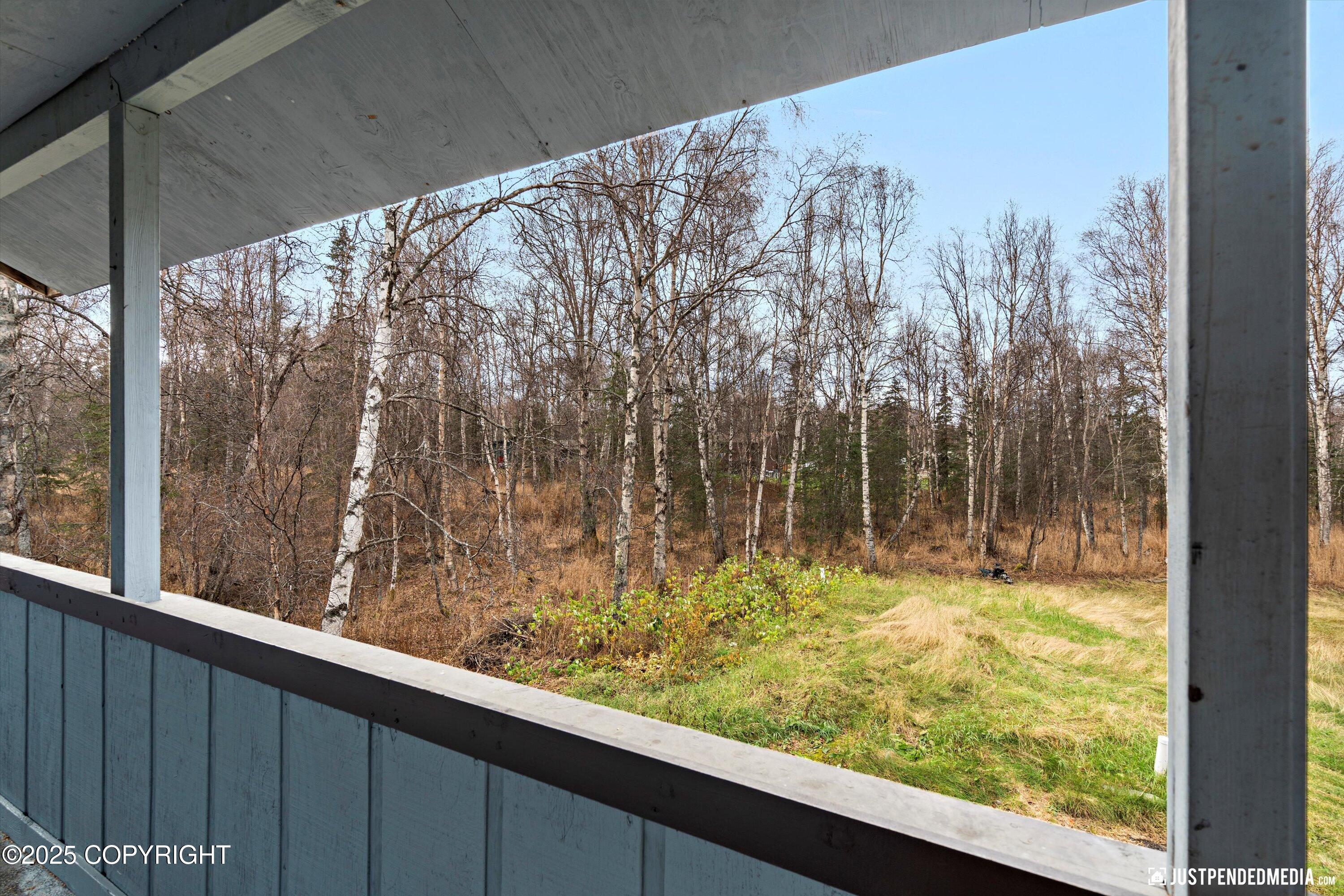 3410 N Tattler Court, Wasilla