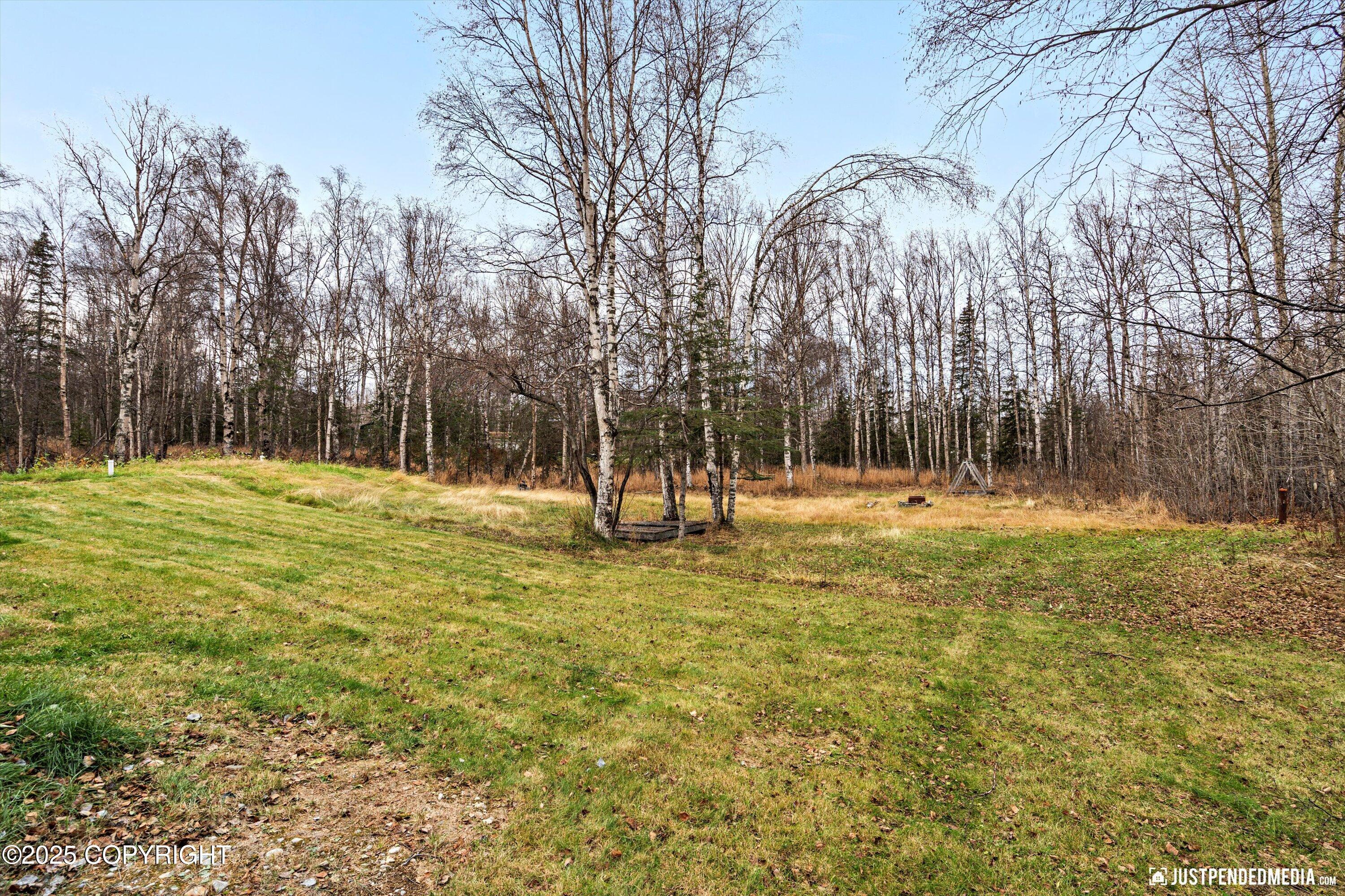 3410 N Tattler Court, Wasilla