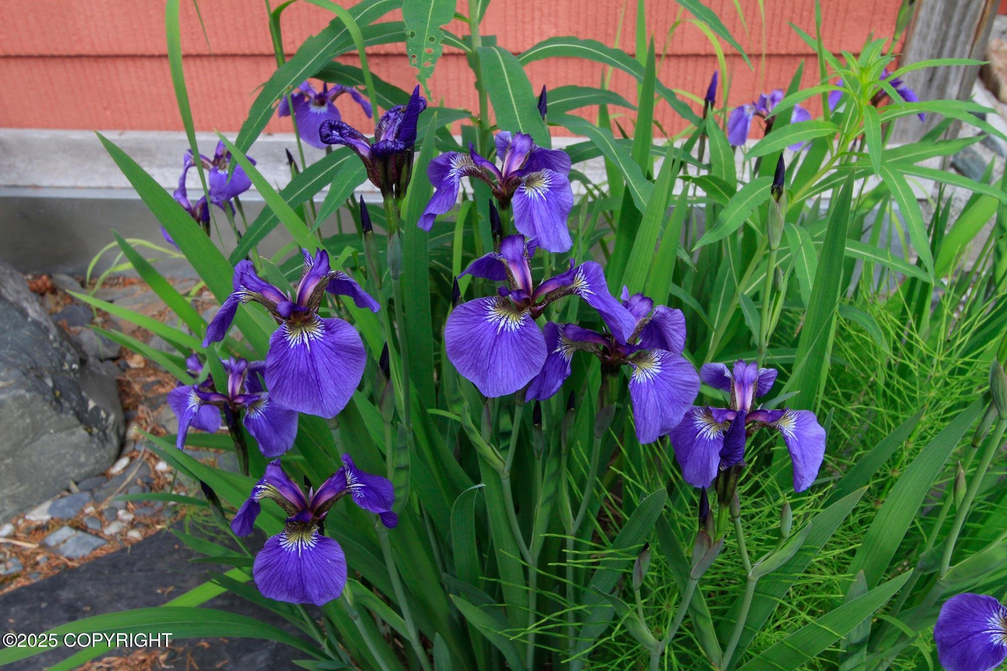 34991 Little Jim Circle