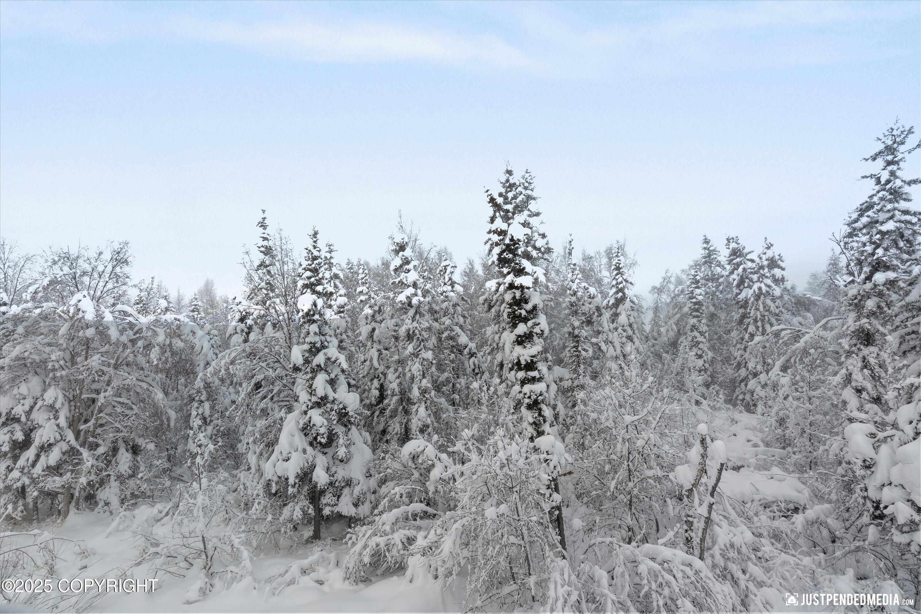 10310 Valley Park Drive