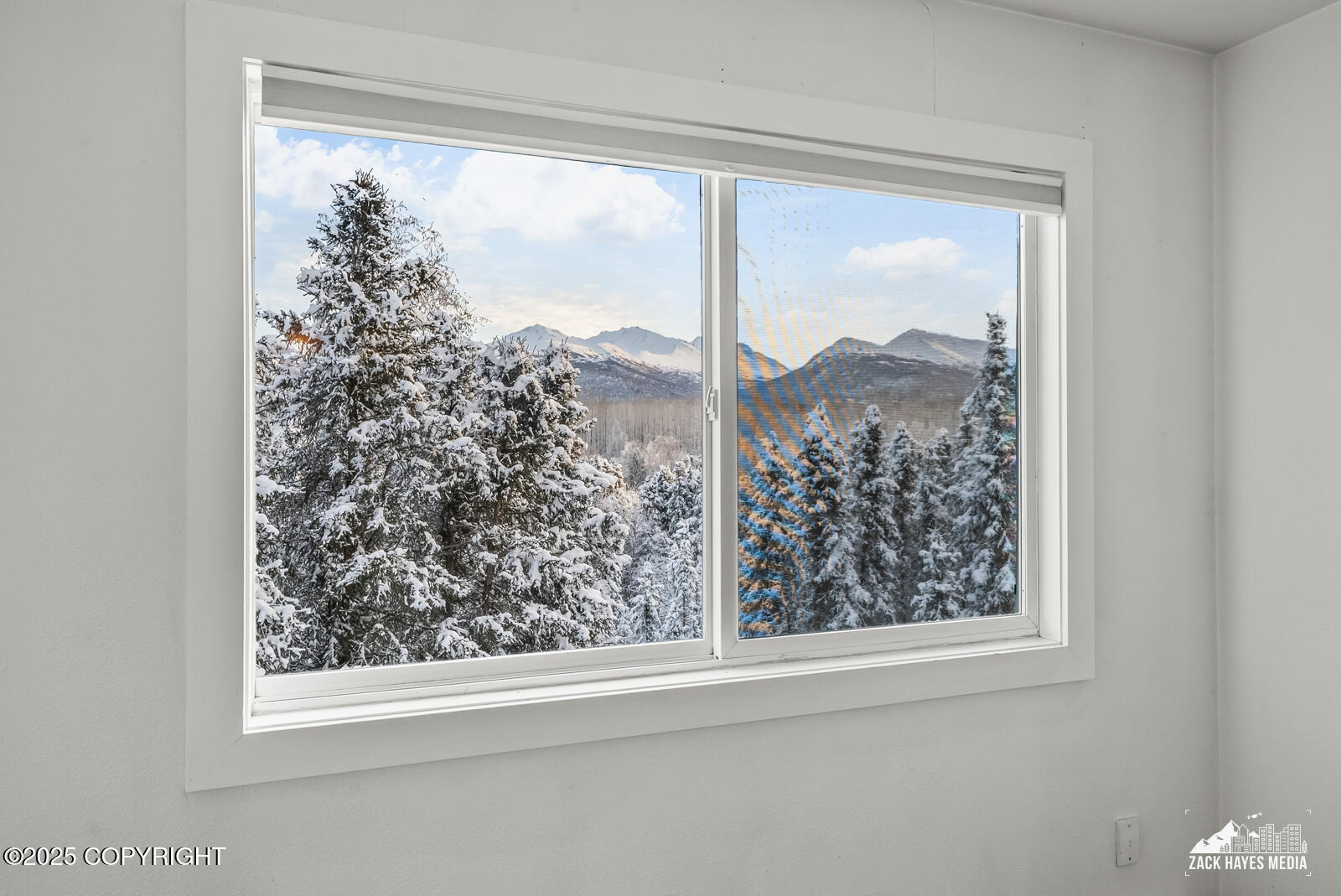 6469 Village Parkway # 203 Unit: #203