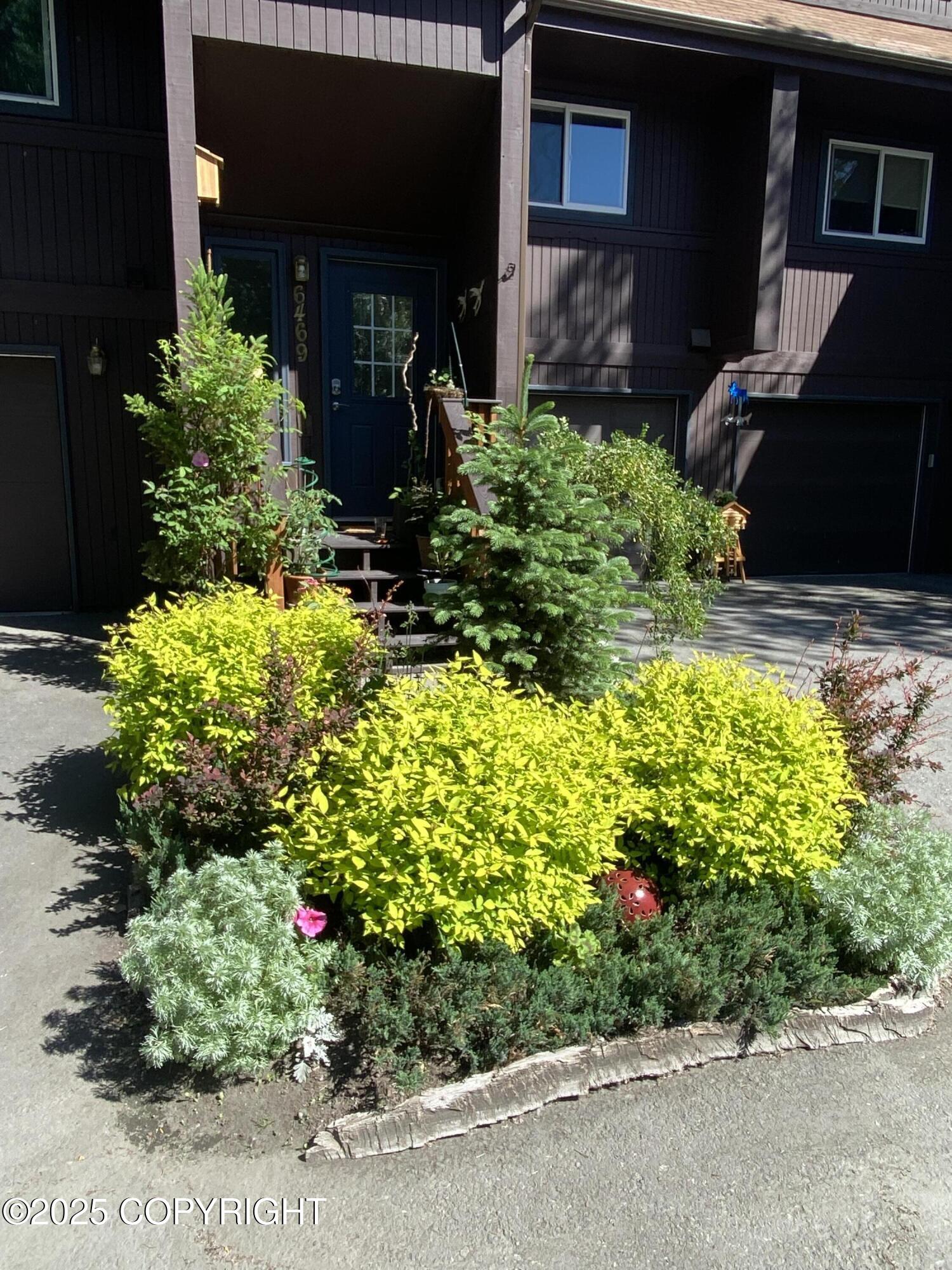 6469 Village Parkway # 203 Unit: #203