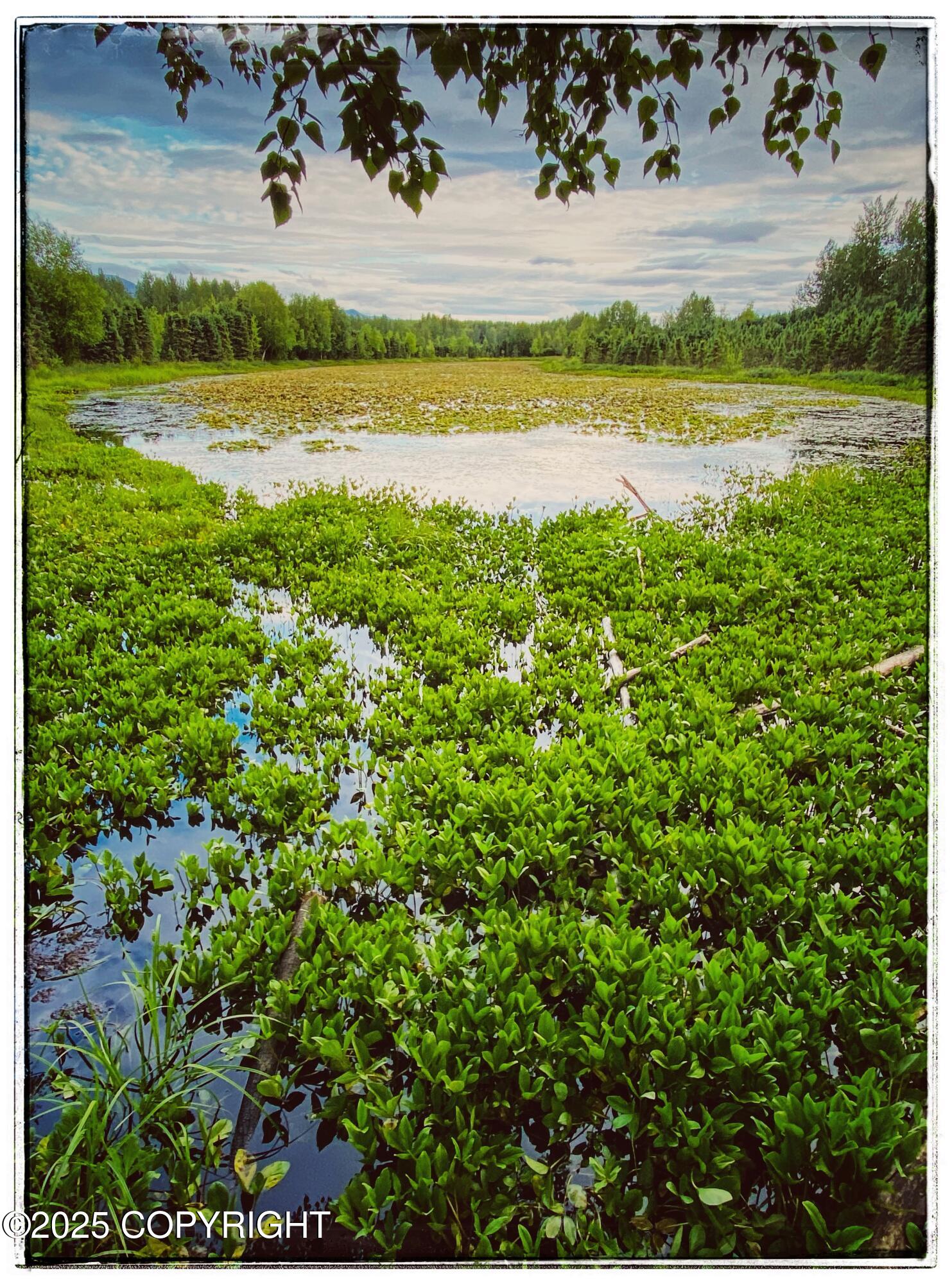 6469 Village Parkway # 203 Unit: #203