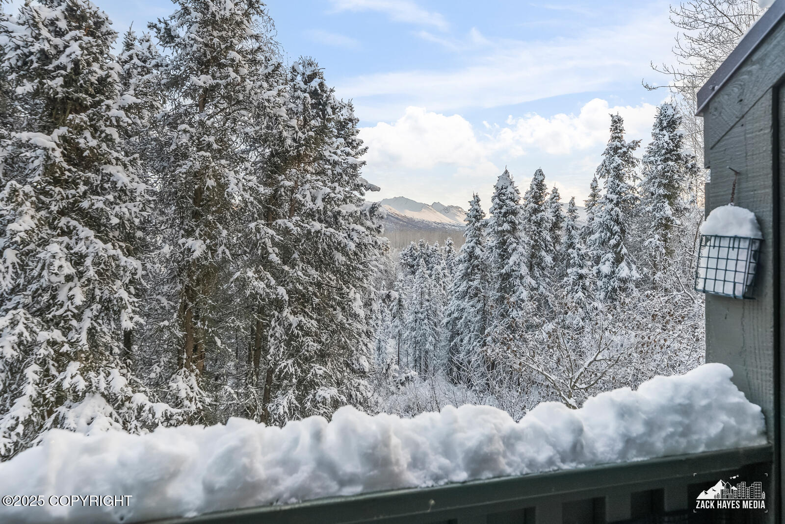 6469 Village Parkway # 203 Unit: #203