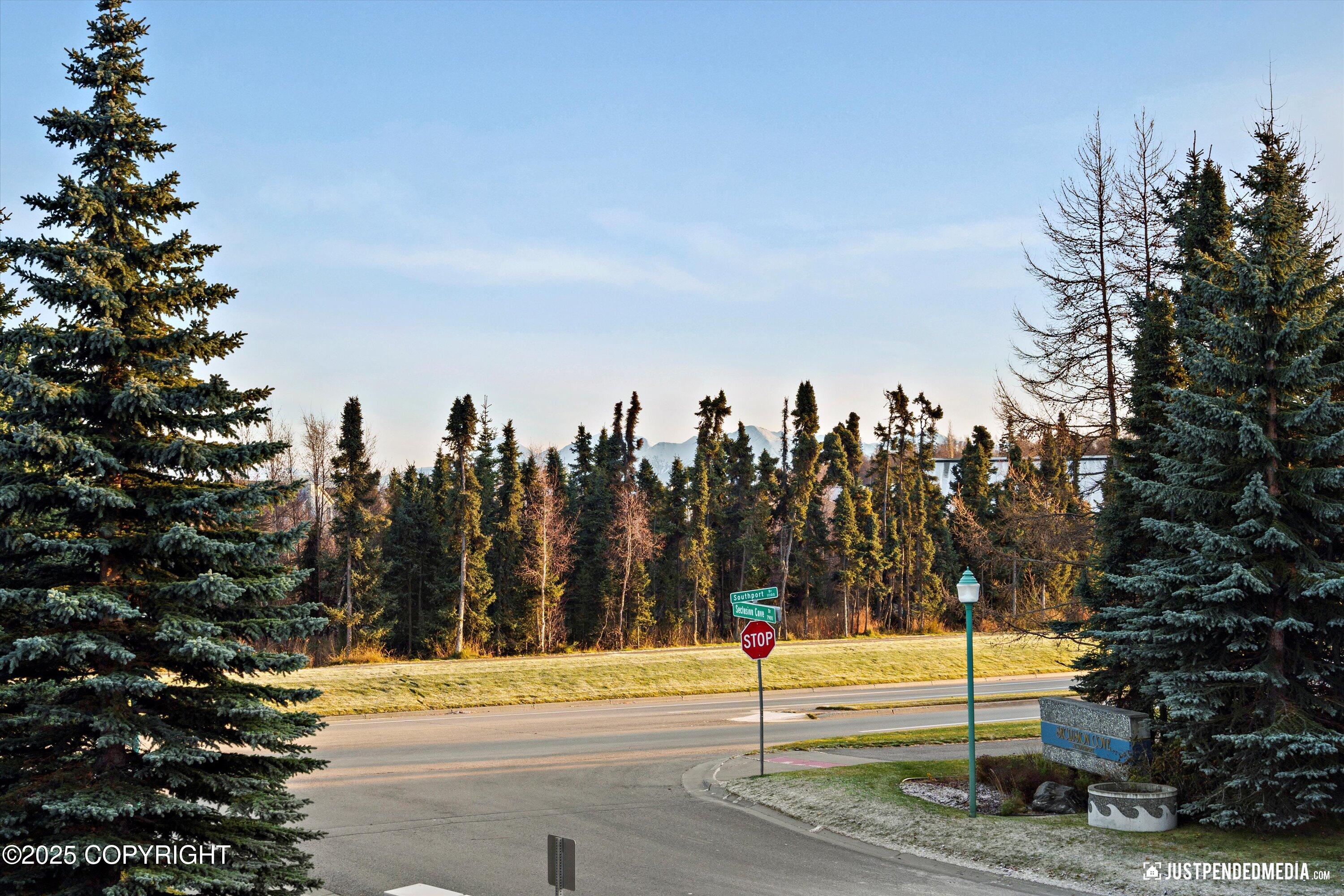 2909 Seclusion Cove Drive