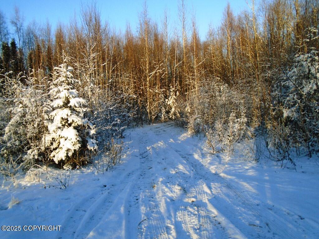 Lot 1 W Shearwater Street