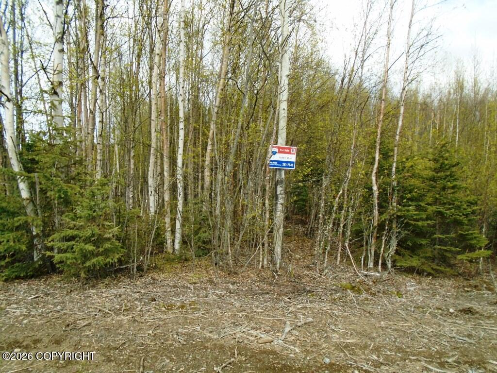 Lot 1 W Shearwater Street
