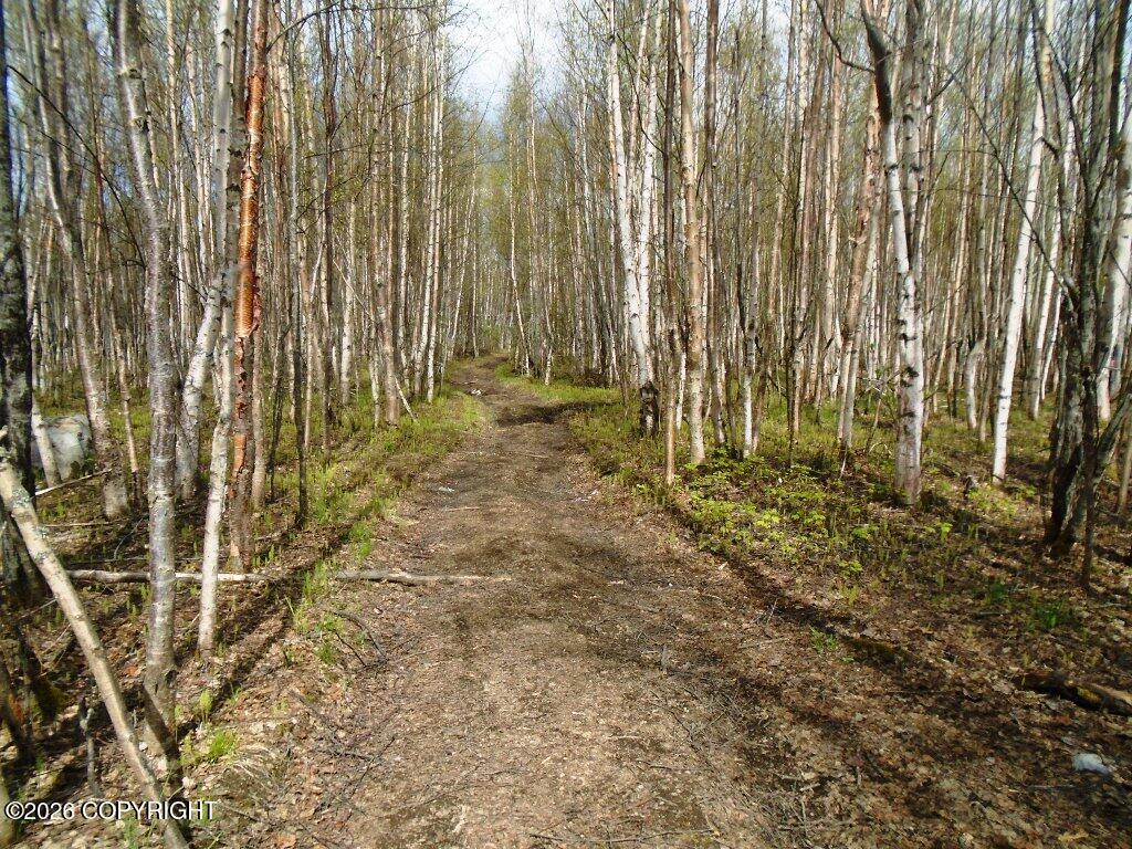 Lot 1 W Shearwater Street