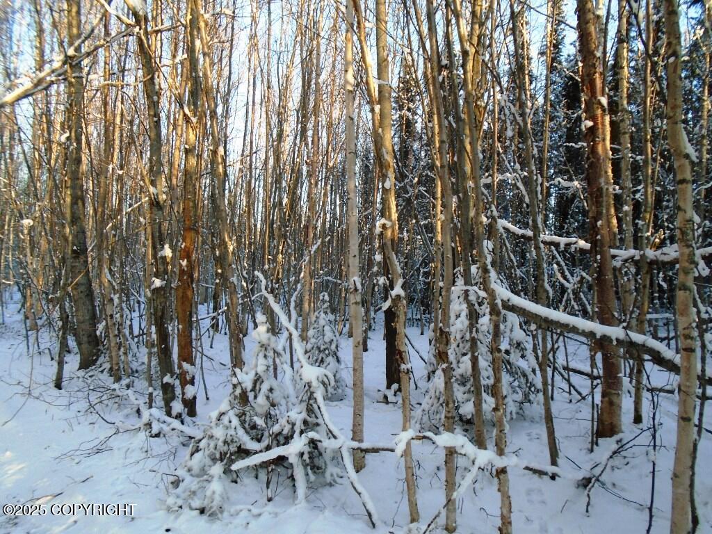 Lot 2 W Shearwater Street