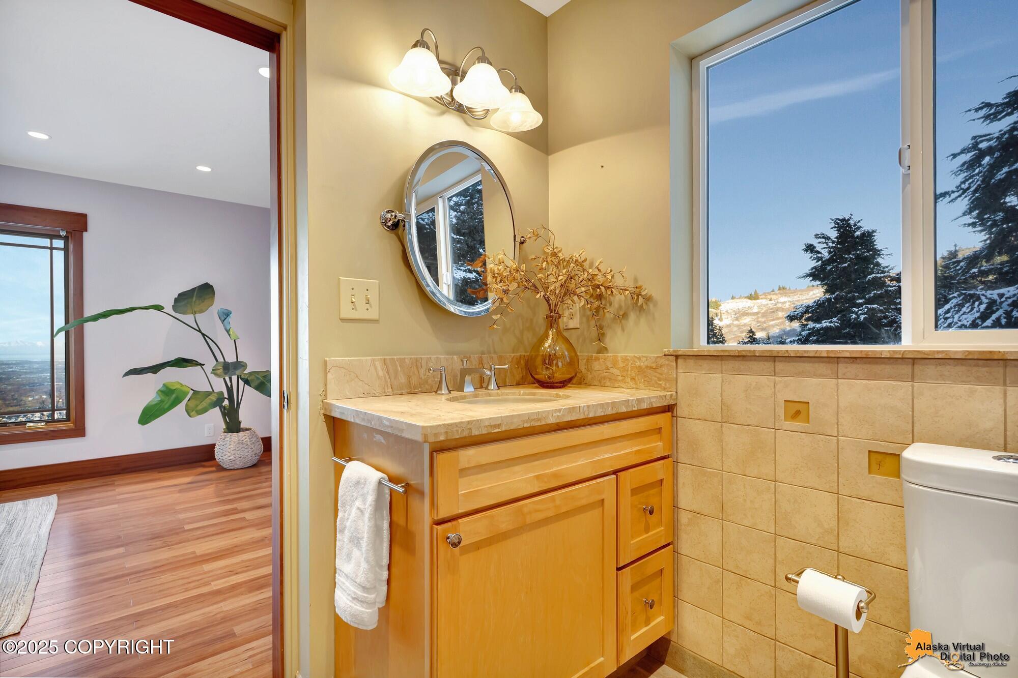 17721 Mountainside Village Drive