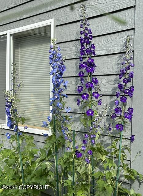 6251 Bubbling Brook Circle