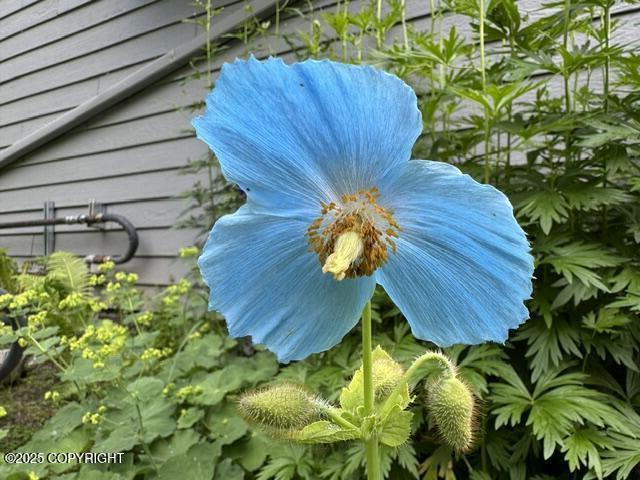 6251 Bubbling Brook Circle