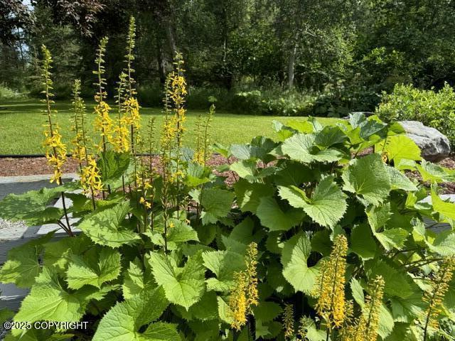 6251 Bubbling Brook Circle