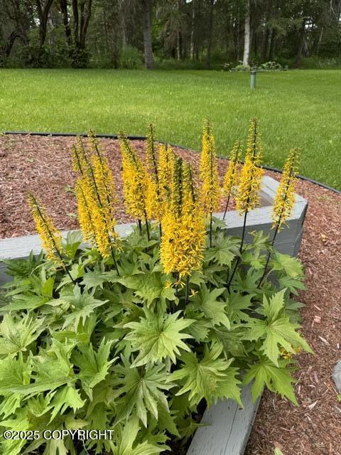 6251 Bubbling Brook Circle