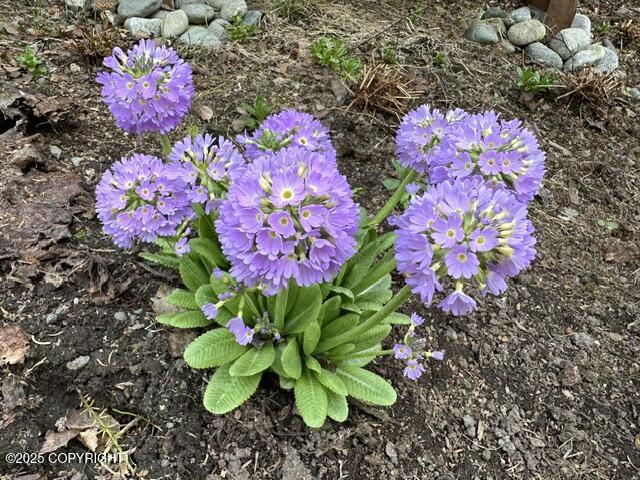 6251 Bubbling Brook Circle