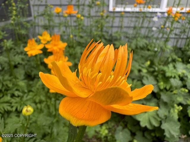 6251 Bubbling Brook Circle